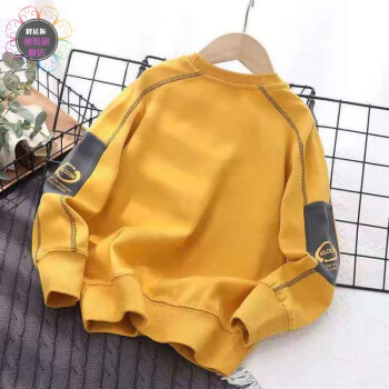 释延振男大童卫衣儿童秋季10-15岁上衣中大童休闲学生春秋薄